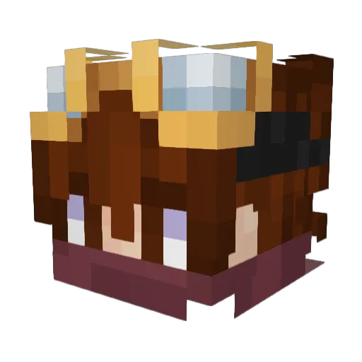 sagelord1 Minecraft avatar head, 3D render
