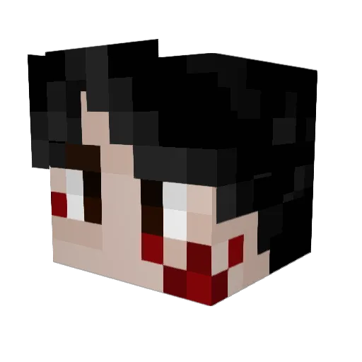 sagetailll Minecraft avatar head, 3D render