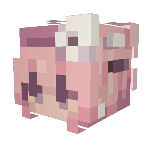 sagetheduck Minecraft avatar head, 3D render