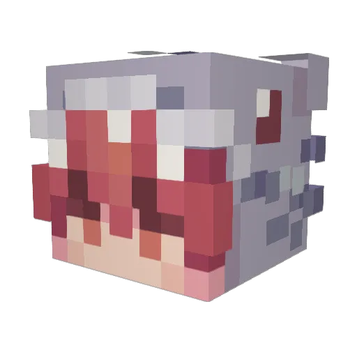 sagethyme1 Minecraft avatar head, 3D render