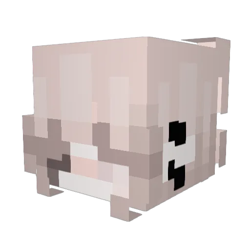 sagewithnuts Minecraft avatar head, 3D render