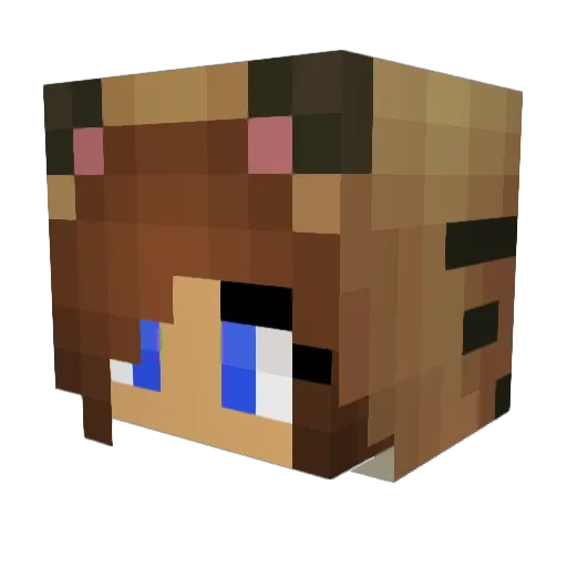 sageybabey Minecraft avatar head, 3D render