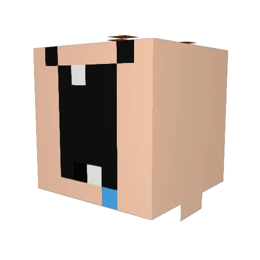 saggyflabbytitz Minecraft avatar head, 3D render