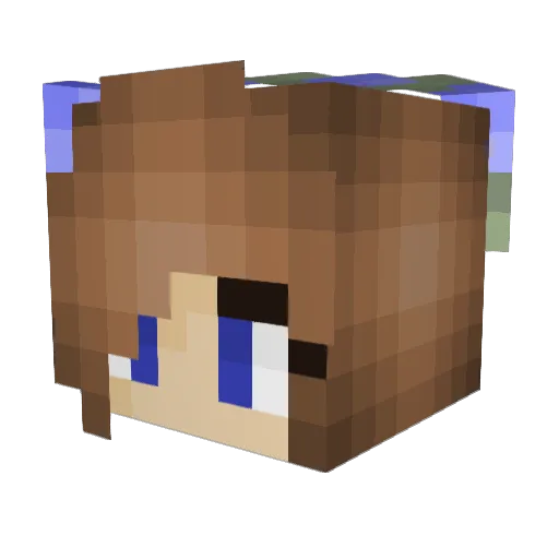 sagis123 Minecraft avatar head, 3D render