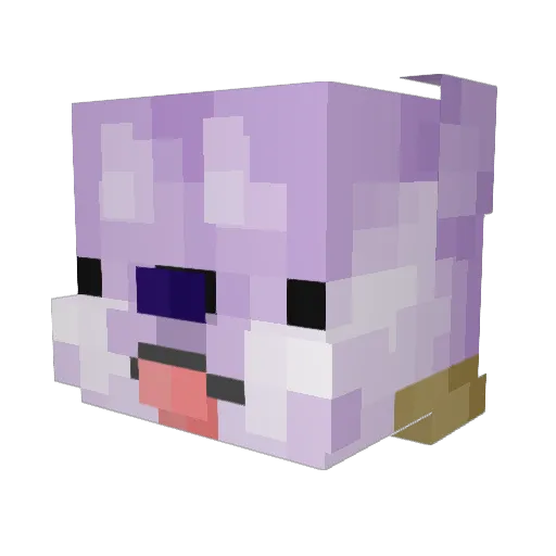 sagol_kalsIn Minecraft avatar head, 3D render