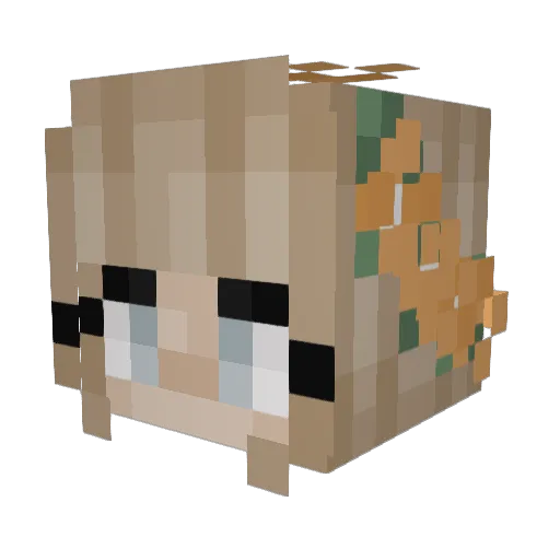 sahar_levied Minecraft avatar head, 3D render