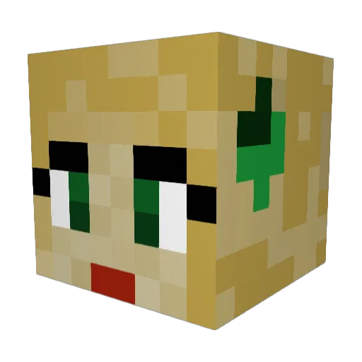 sahmiam Minecraft avatar head, 3D render