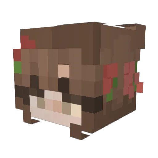 saiaera Minecraft avatar head, 3D render