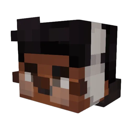 saidminion Minecraft avatar head, 3D render