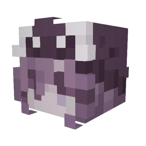 saige_ Minecraft avatar head, 3D render