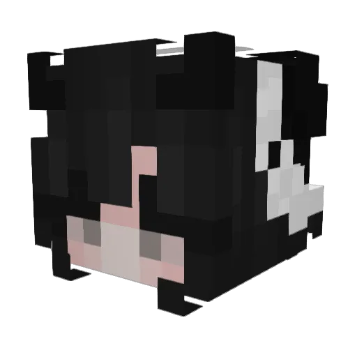 sail0orrmoon Minecraft avatar head, 3D render