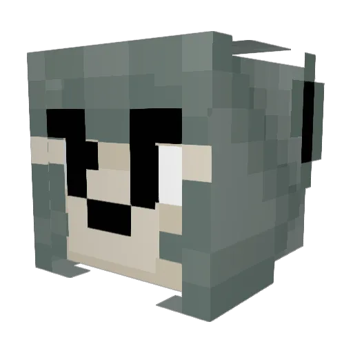 saileeen Minecraft avatar head, 3D render
