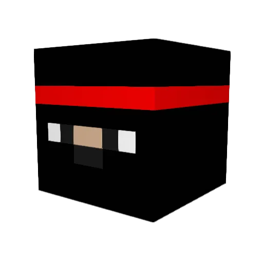 sailenido Minecraft avatar head, 3D render