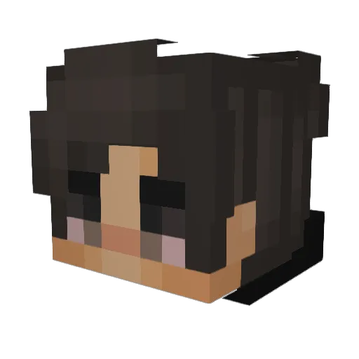 sailfshh Minecraft avatar head, 3D render
