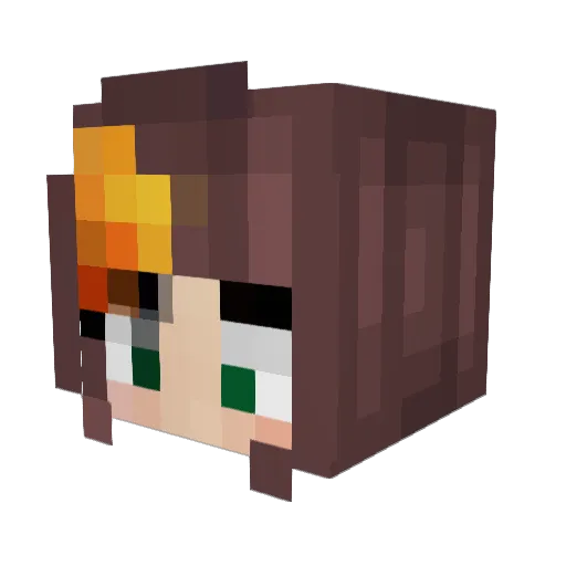 sailvrplays Minecraft avatar head, 3D render