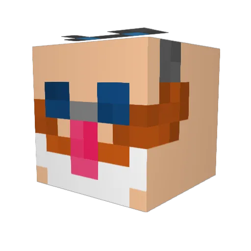 saint__jake Minecraft avatar head, 3D render