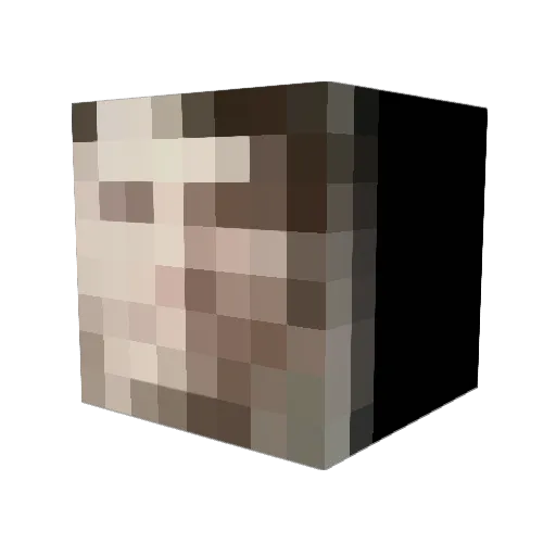 saintbernarrd Minecraft avatar head, 3D render