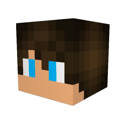 saintlaurent41 Minecraft avatar head, 3D render