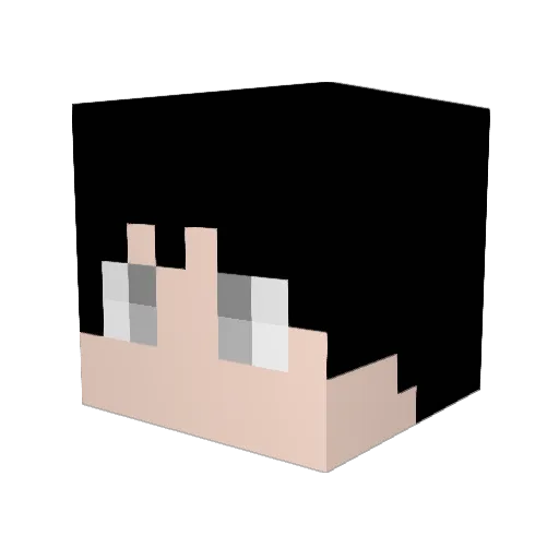 saiun382 Minecraft avatar head, 3D render