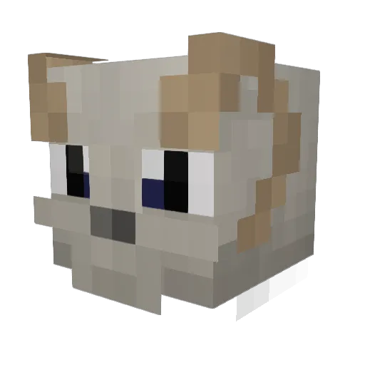 sak121 Minecraft avatar head, 3D render