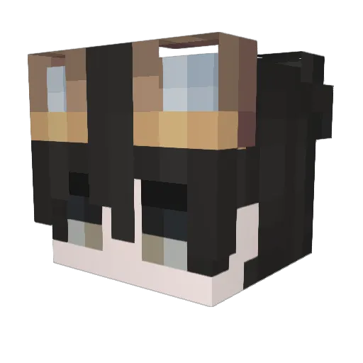 sak_iwnl Minecraft avatar head, 3D render