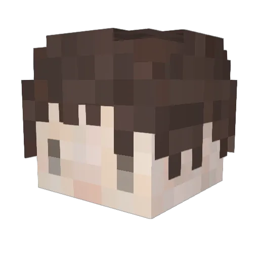 sakadon Minecraft avatar head, 3D render