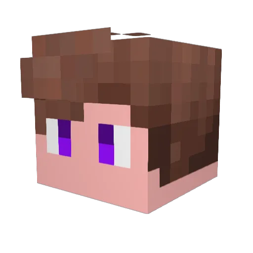 sakaj122 Minecraft avatar head, 3D render