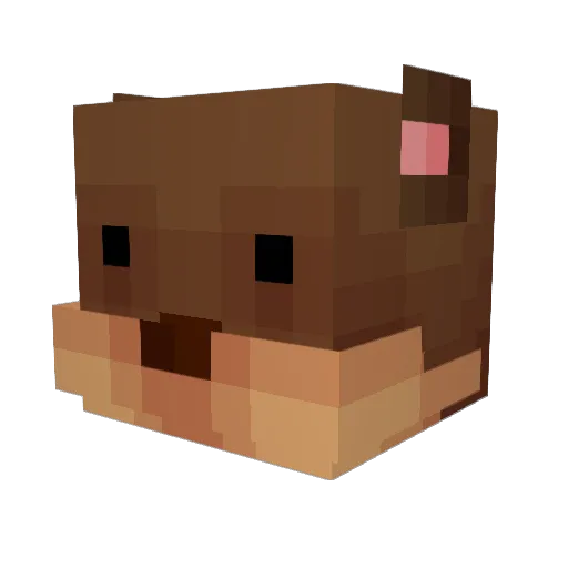 sakana_k Minecraft avatar head, 3D render