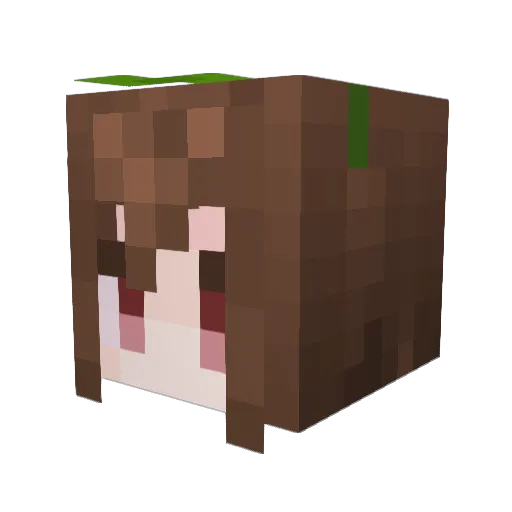sakananato Minecraft avatar head, 3D render