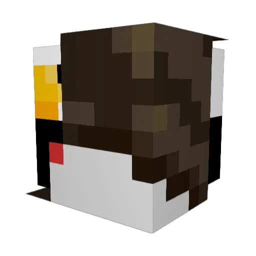 sakatafall Minecraft avatar head, 3D render