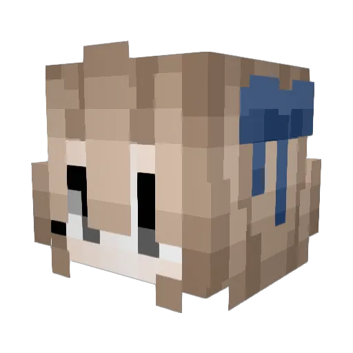 sakbrs Minecraft avatar head, 3D render