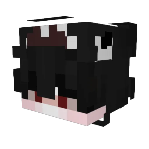 sakd Minecraft avatar head, 3D render