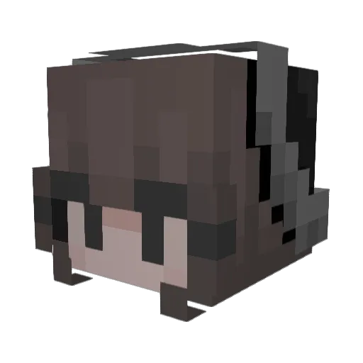 sake1021 Minecraft avatar head, 3D render
