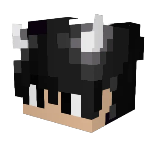 sakerfalcon12 Minecraft avatar head, 3D render