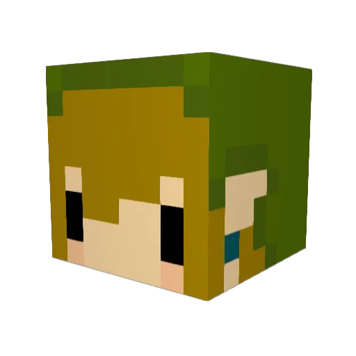 sakiko1111 Minecraft avatar head, 3D render