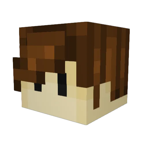 sakkunog Minecraft avatar head, 3D render