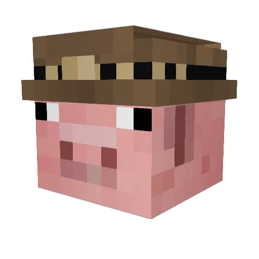 sakodk Minecraft avatar head, 3D render