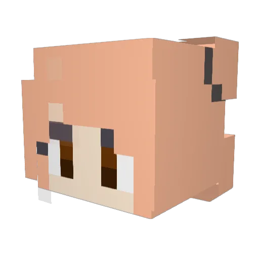 sakup1117 Minecraft avatar head, 3D render