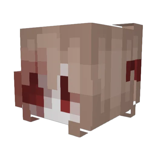 sakura_1213 Minecraft avatar head, 3D render