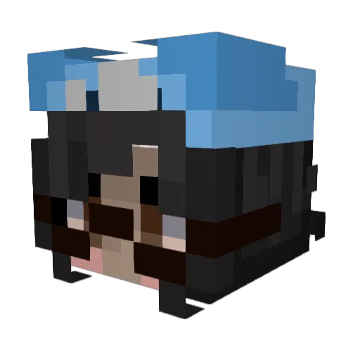 sakuraiim Minecraft avatar head, 3D render