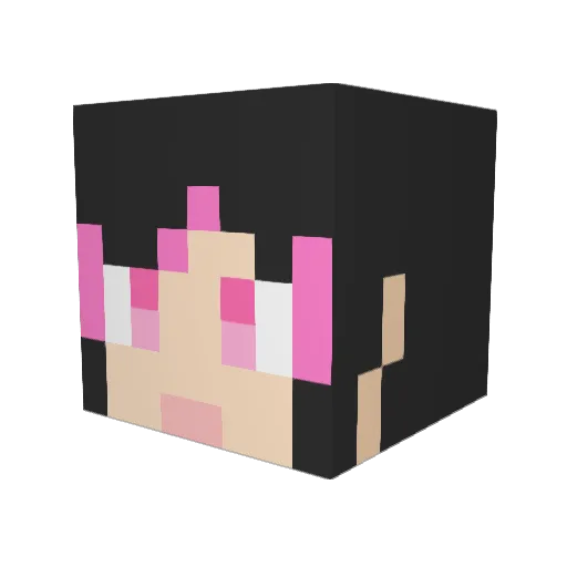 sakurak1020 Minecraft avatar head, 3D render