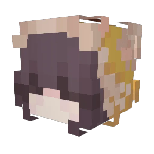 sakuwuh Minecraft avatar head, 3D render
