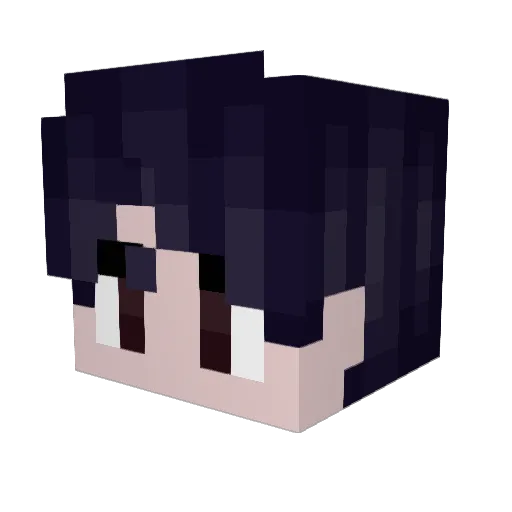 sal1nka Minecraft avatar head, 3D render