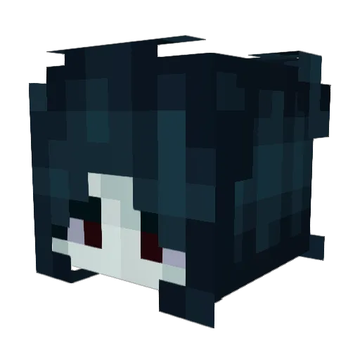 sal_sa Minecraft avatar head, 3D render