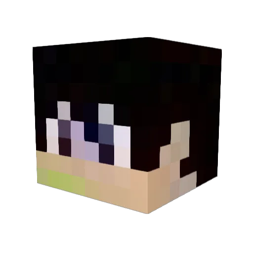 sala8967 Minecraft avatar head, 3D render