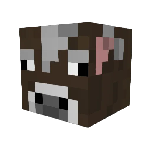 salacow96 Minecraft avatar head, 3D render