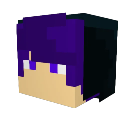 salada100 Minecraft avatar head, 3D render