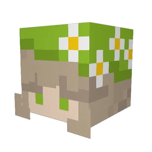 saladbaa Minecraft avatar head, 3D render