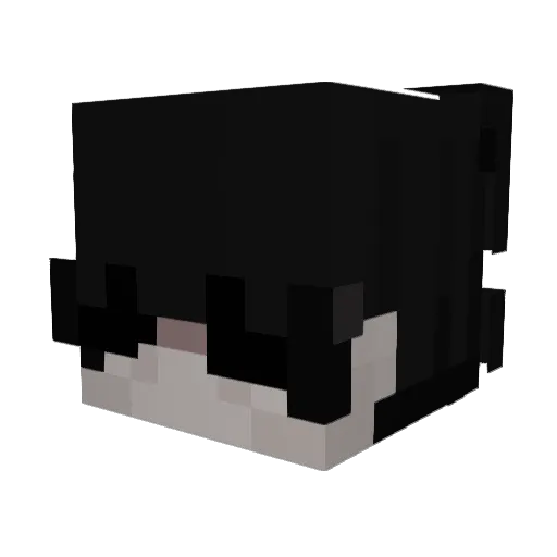 salahzegoat Minecraft avatar head, 3D render