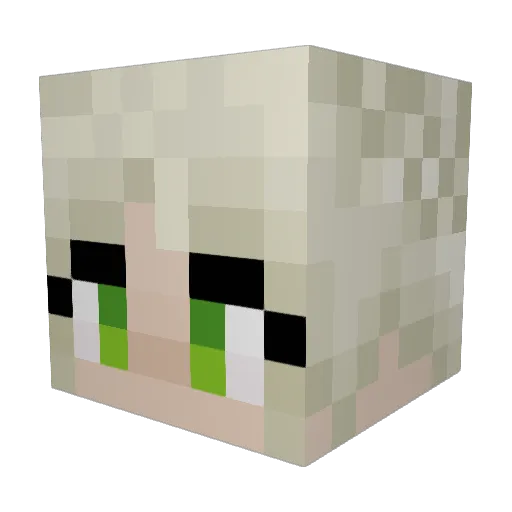 salamander388 Minecraft avatar head, 3D render